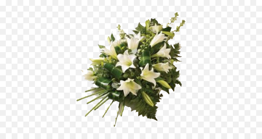 White - Lilyspray Redlands Fresh Flowers Shop Funeral Flowers Png,White Lily Png