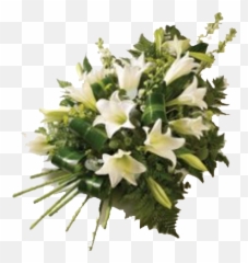 White - Lilyspray Redlands Fresh Flowers Shop Funeral Flowers Png,White Lily Png