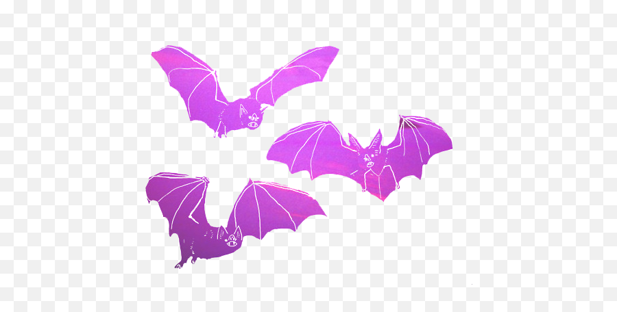 Bats - Image 1135552 By Nastty On Favimcom Bat Png,Bats Png