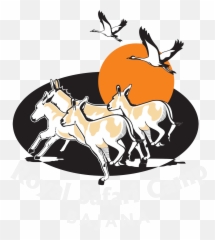 Hotel Royal Safari Camp - Bajana Png,Cute Safari Logo