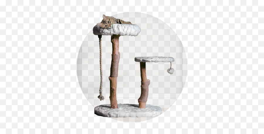 Chance To Win A Mau Rizzo Cat Tree - Cat Tree Png,Cat Paw Transparent