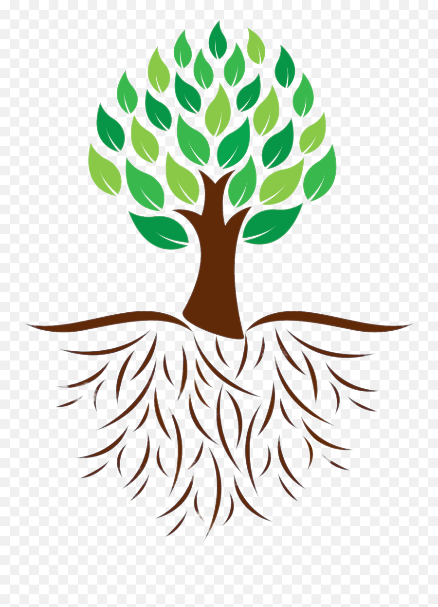 Tree And Roots Colour Illustration - Tree With Roots Icon Png,Tree Root Png