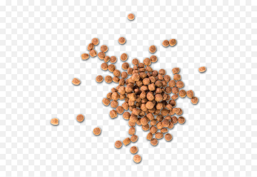 Pet Food Contract Manufacturer - Tree Png,Dog Food Png