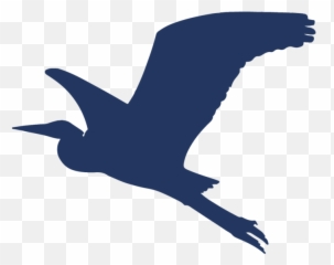 Bolton Landing Brewing Company - Seabird png