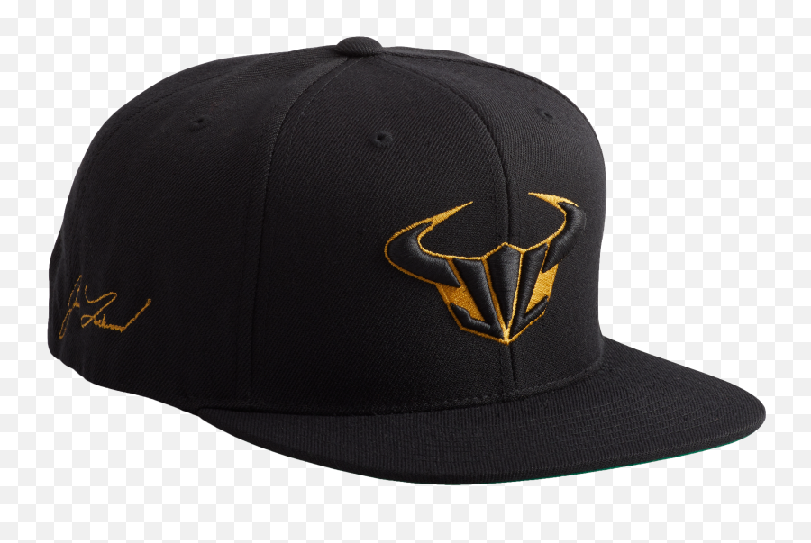 The Gold Icon Snapback - Fermer Png,Black And Gold Icon