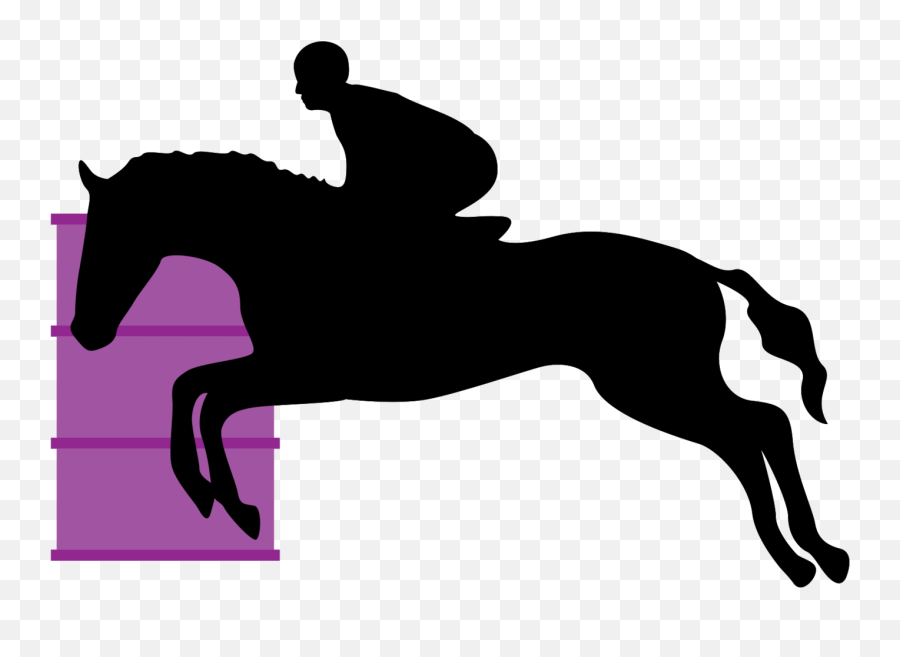 Free Horse Riding 1209117 Png With Transparent Background - Bridle,Horse Rider Icon