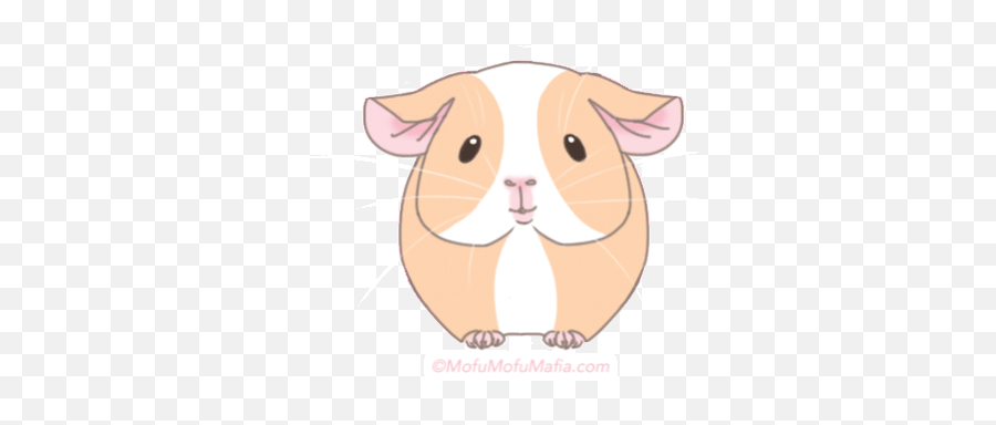 Top Alade Stickers For Android U0026 Ios Gfycat - Animated Kawaii Guinea Pig Gif Png,Spiderpig Icon