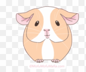 Top Alade Stickers For Android U0026 Ios Gfycat - Animated Kawaii Guinea Pig Gif Png,Spiderpig Icon