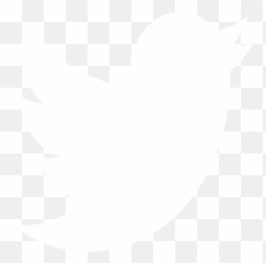 Home - Twitter App png
