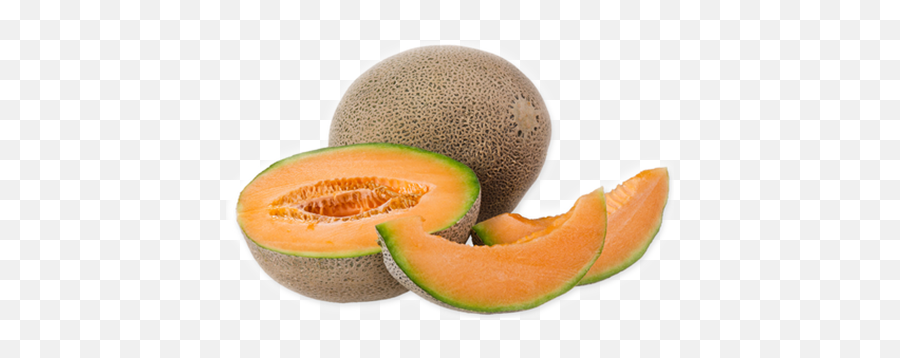 Download Free Png Cantaloupe Melon 1 - Cantaloupe Png,Cantaloupe Png