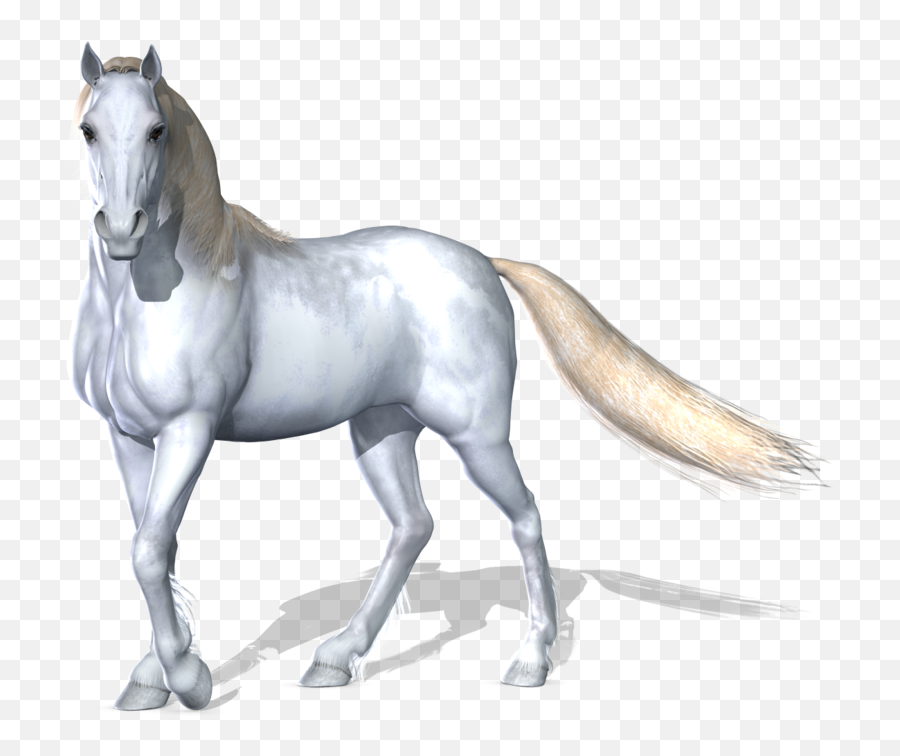 White Horse Png 4 Image - White Horse Png Hd,White Horse Png