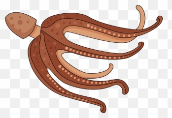 Octopus Clipart Free Download Transparent Png Creazilla - Common