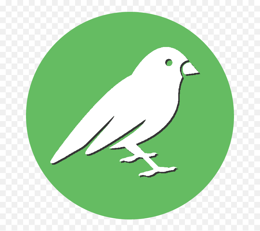 Home Birdsong - Old World Flycatchers Png,Discord Home Icon