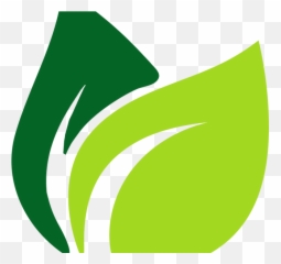 Our Friends Cms Group Llc - Vertical png