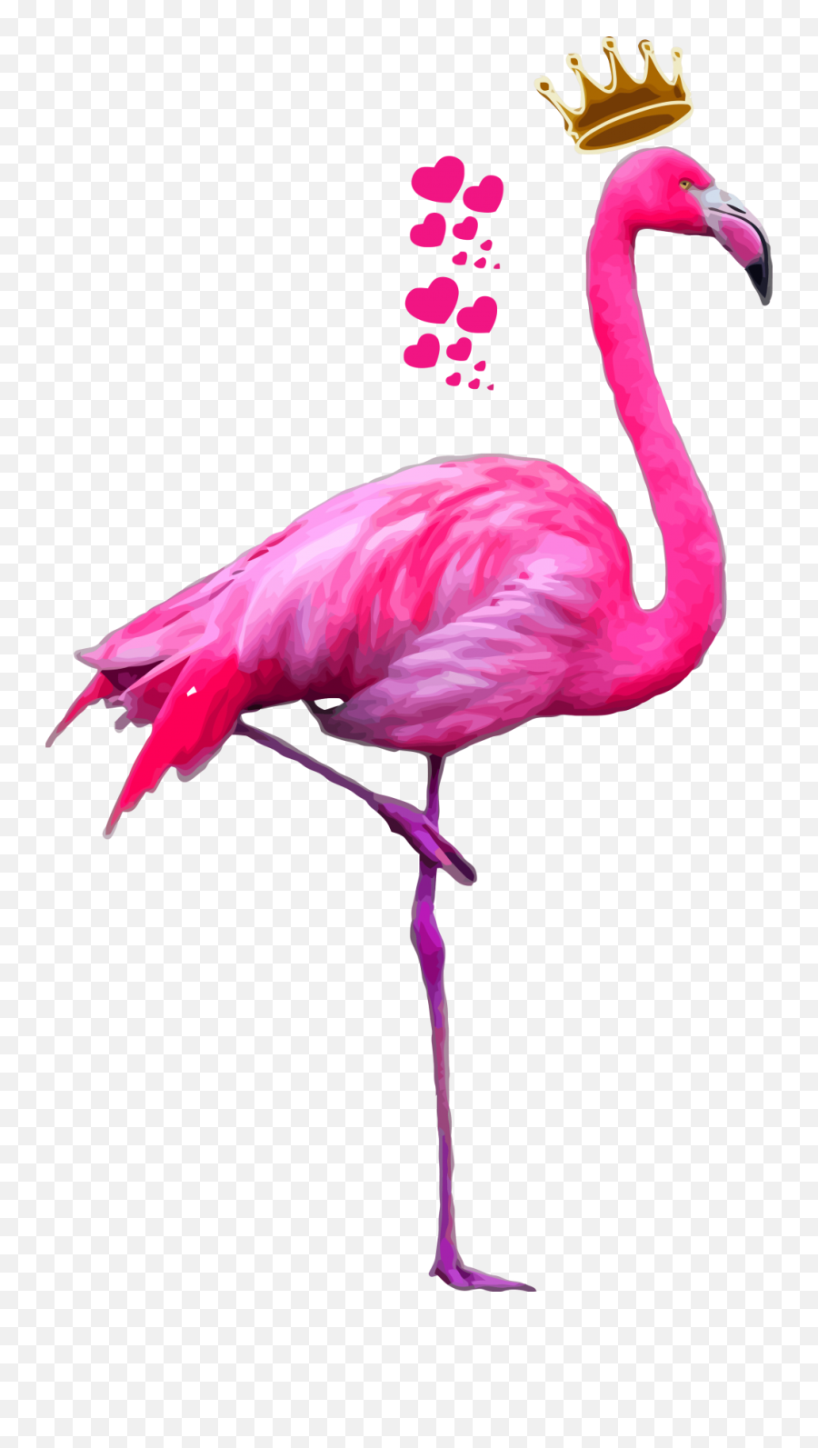 Imagens Png Tumblr - Flamingo Png,Flamingo Transparent Background