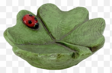 Clover Dish - Bullfrog Png,Clover Png