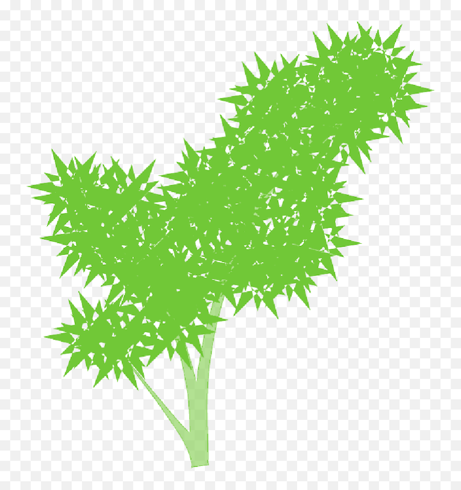 Bush Weeds Plant Green Nature - Clip Art Png,Weeds Png