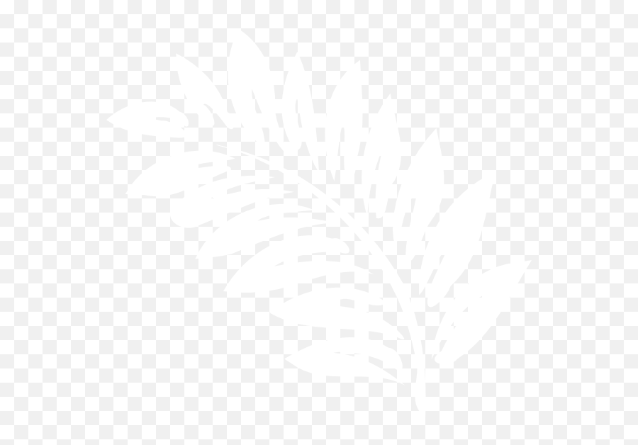 Fern Clip Art - Vector Clip Art Online Royalty White Fern Clipart Png,Fern Png