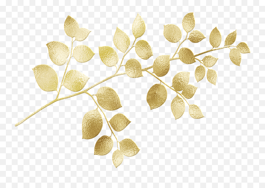 Gold Foil Leaves Glitter - Free Image On Pixabay Maidenhair Tree Png,Botanical Png