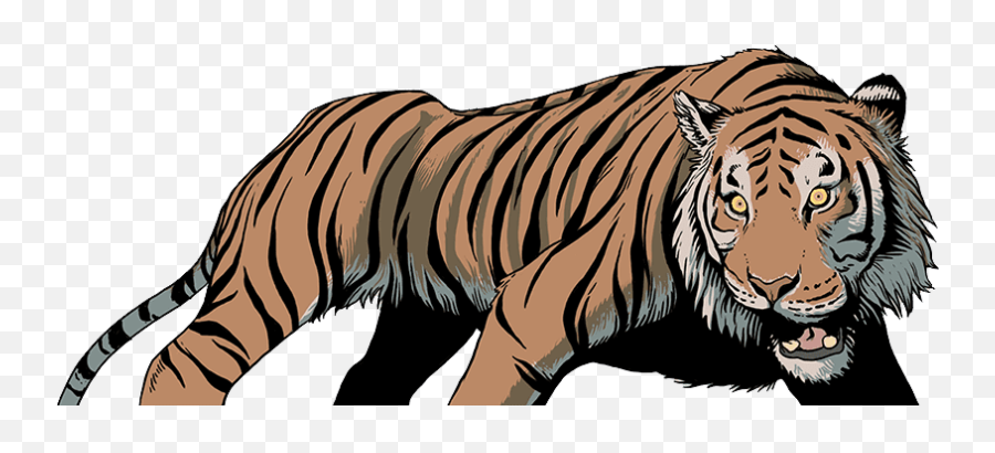Upornyu0027s Story Magazine Articles Wwf - Wild Tiger Cartoon Png,Tiger Transparent Background