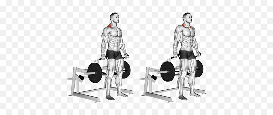 Exercise Database Shoulders25 - Lever Shrugs U2014 Jase Stuart One Arm Shoulder Press Png,Shrug Png