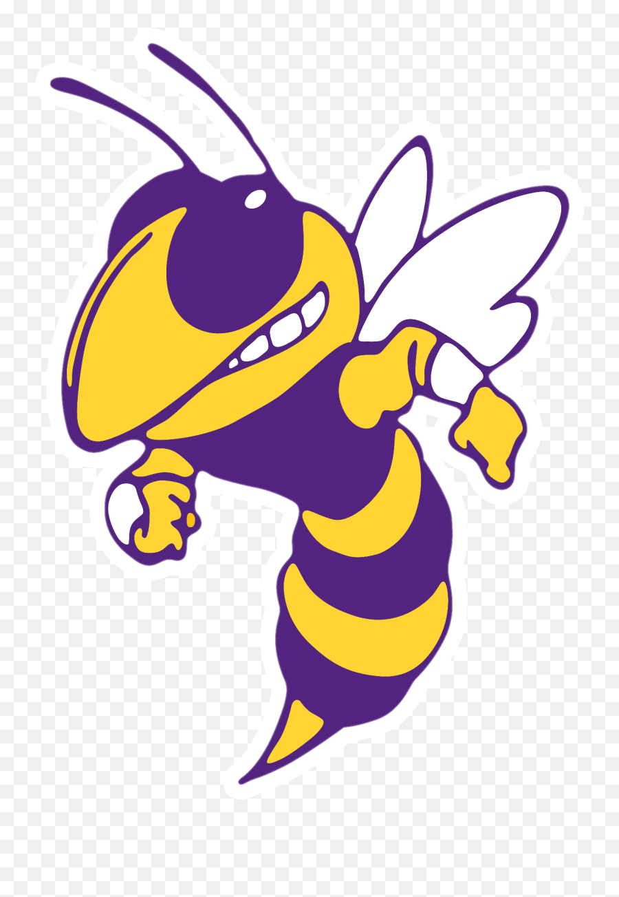 Greenville Team Home Jackets - Blue And Yellow Hornet Blue Ridge Yellow Jackets Png,Hornet Png