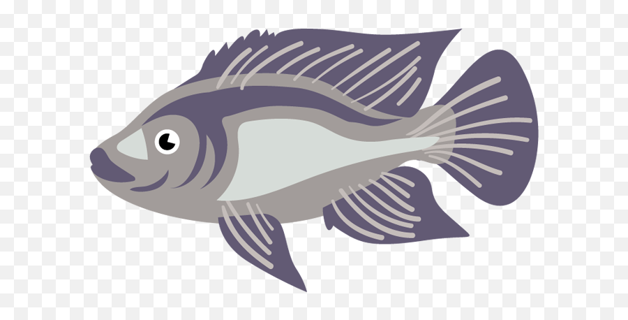 Tilapia Mojarra Tuxtla Gtz Chiapas - Rayfinned Fish Full Logo Tilapia Fish Png,Fish Emoji Png