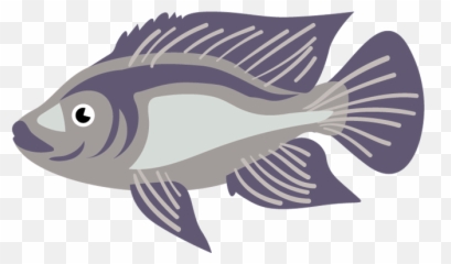 Tilapia Mojarra Tuxtla Gtz Chiapas - Rayfinned Fish Full Logo Tilapia Fish Png,Fish Emoji Png