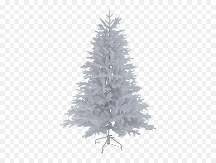 Download Christmas Tree Wasa - Christmas Tree Png,Christmas Tree Star Png