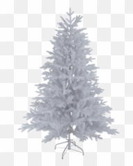 Download Christmas Tree Wasa - Christmas Tree Png,Christmas Tree Star Png