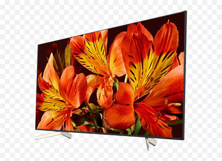 Sony Flat Screen Tvs Displays - Sony Tv 8500g 49 Inch Png,Flat Screen Png