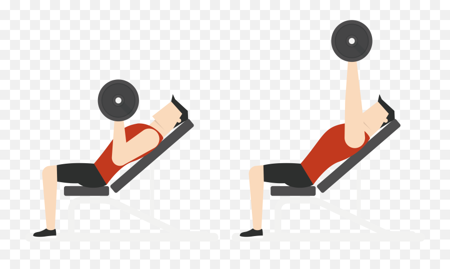 Fitness Vector Png - Physical Exercise Euclidean Vector Bench Press Cartoon Png,Gym Png