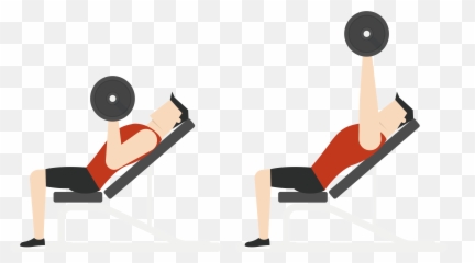 Fitness Vector Png - Physical Exercise Euclidean Vector Bench Press Cartoon Png,Gym Png