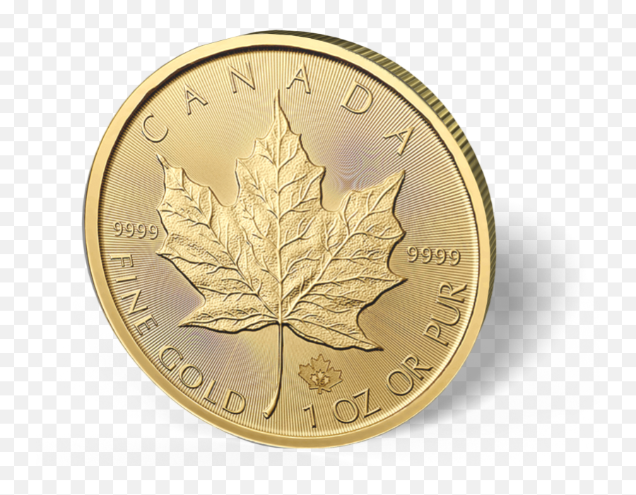 Download Picture Of 1 Oz Canadian Gold Maple Leaf Coins - Canadian Gold Maple Leaf Png,Canadian Leaf Png