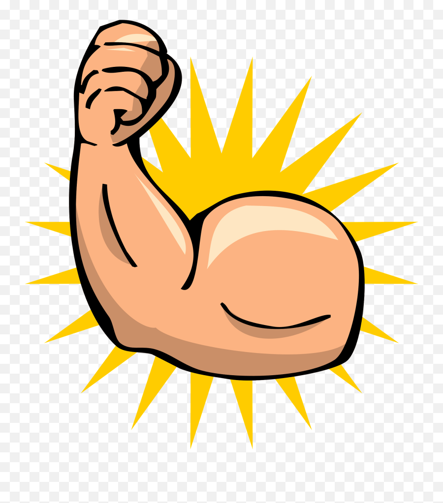 Biceps Muscle Clipart Free Download Transparent Png - Strong Arm Clipart,Muscle Png