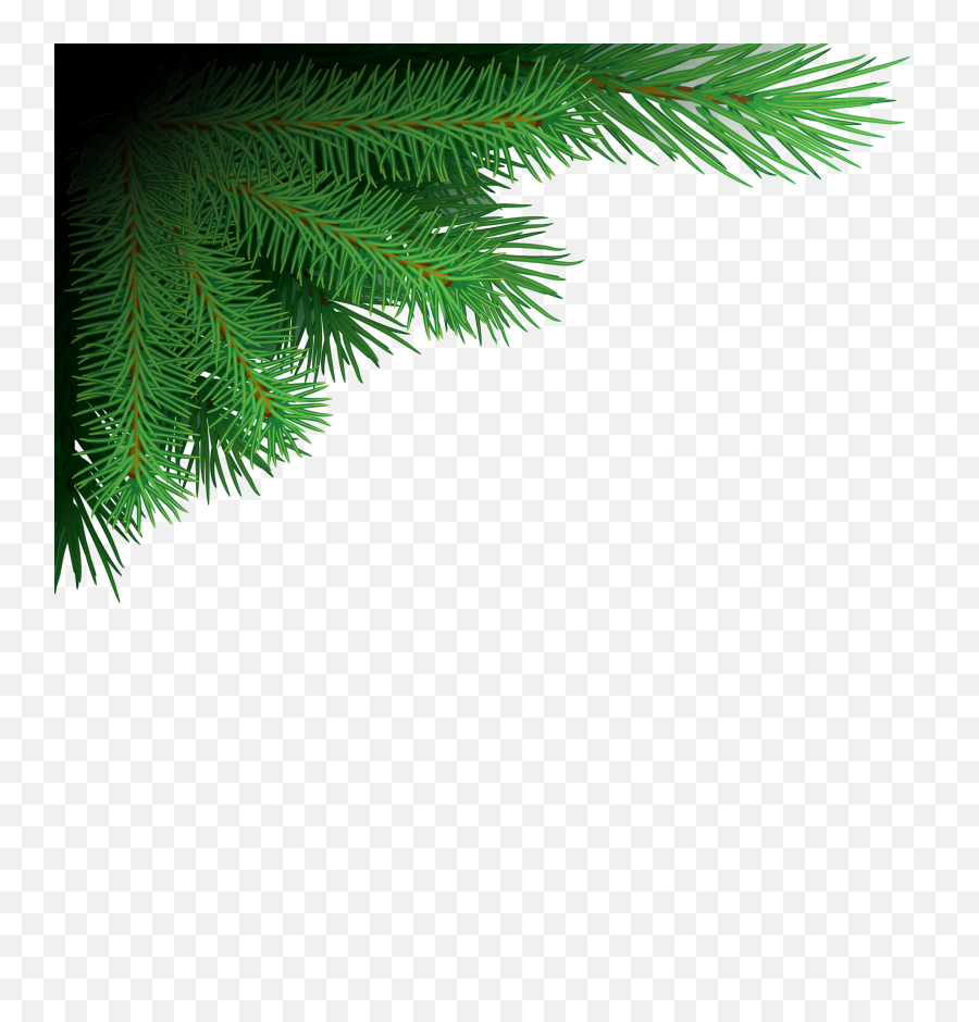 Xmas Tree Branches Png Image - Png Format Christmas Tree Png,Pine Branch Png