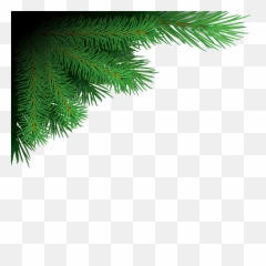 Xmas Tree Branches Png Image - Png Format Christmas Tree