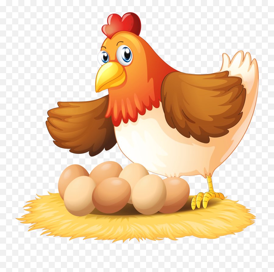 Hen Vector Poultry Transparent Png - Chicken With Eggs Clipart,Chicken Png