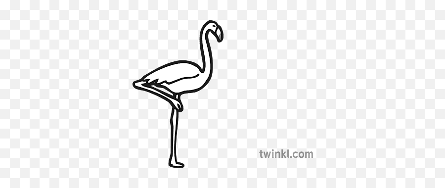 Flamingo Icon Black And White - Dibujos De Niña Lavando Platos Png,Flamingo Icon