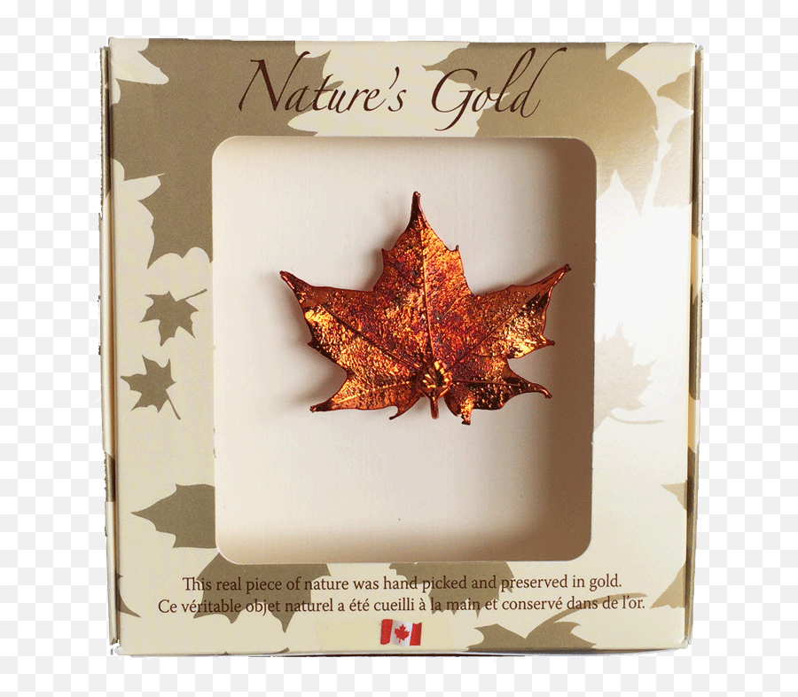 Maple Leaf Brooch - Iridescent Maple Leaf Gifts Png,Canada Maple Leaf Png