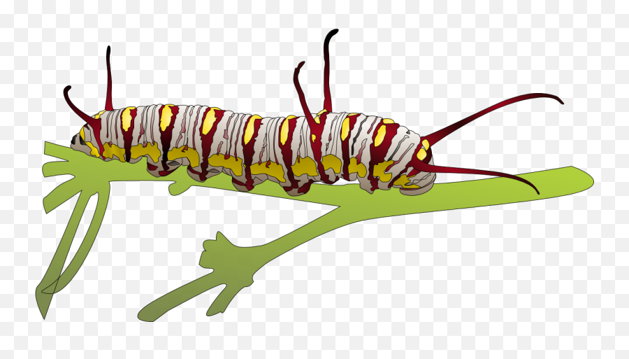 Caterpillar Png Transparent Images - Higad Clip Art,Caterpillar Transparent Background