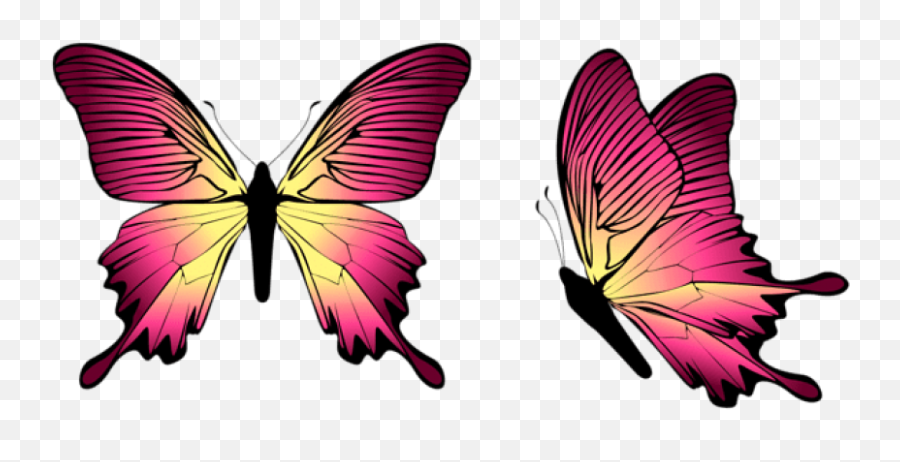Free Png Download Butterfly Clipart Photo Images - Transparent Background Butterfly Clipart,Blue Butterflies Png