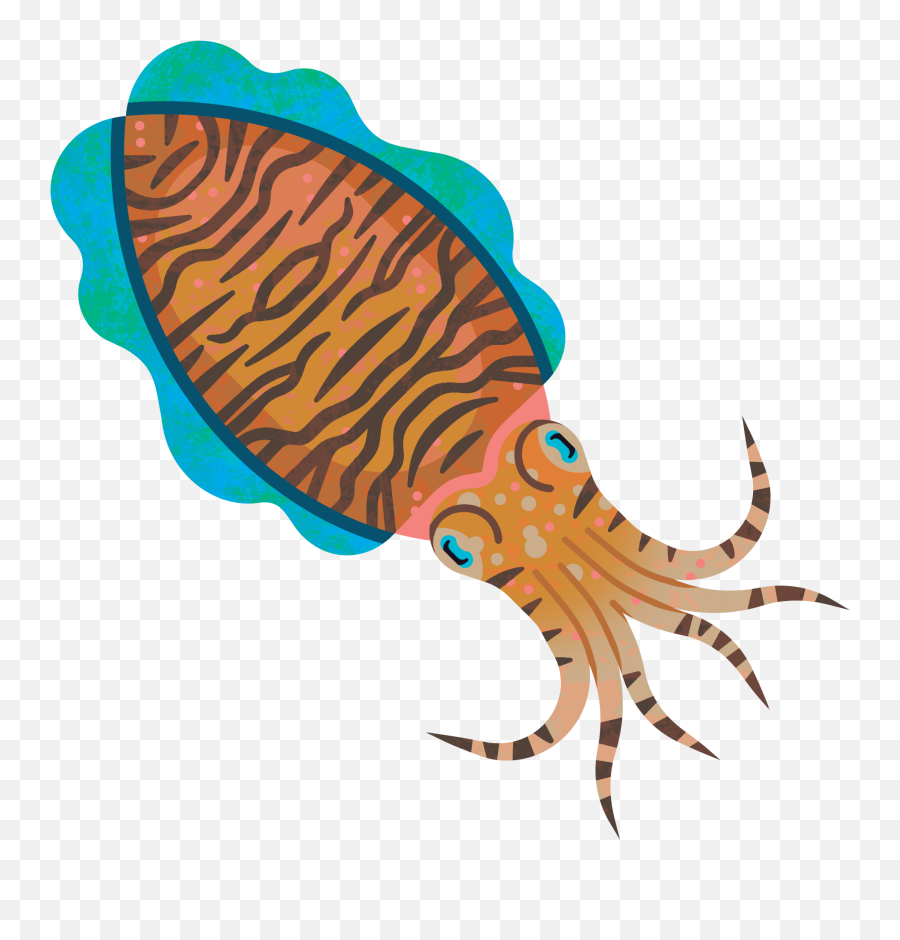 Good Fish Guide Marine Conservation Society - Jack Tite Cuttlefishes Png,Cuttlefish Icon