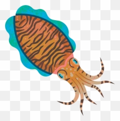 Good Fish Guide Marine Conservation Society - Jack Tite Cuttlefishes png