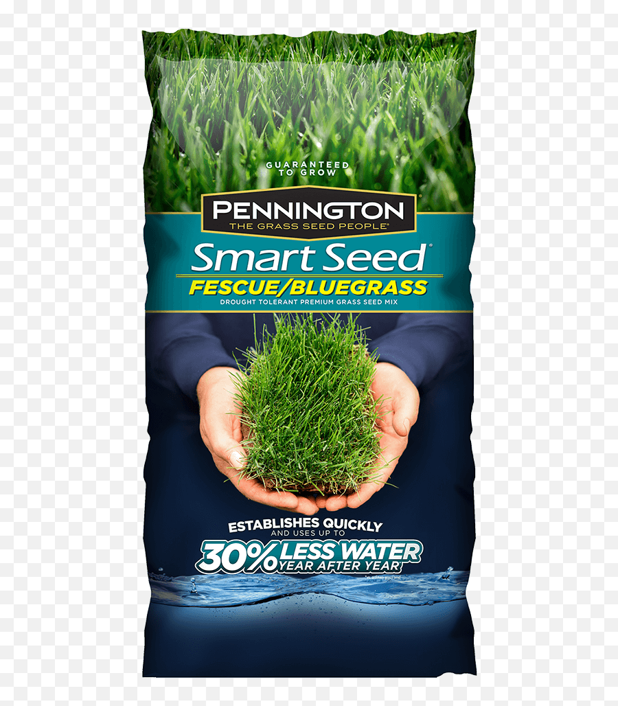 Smart Seed Fescue Bluegrass - Grass Seed Pennington Kentucky Bluegrass Grass Seed Png,Dead Grass Png