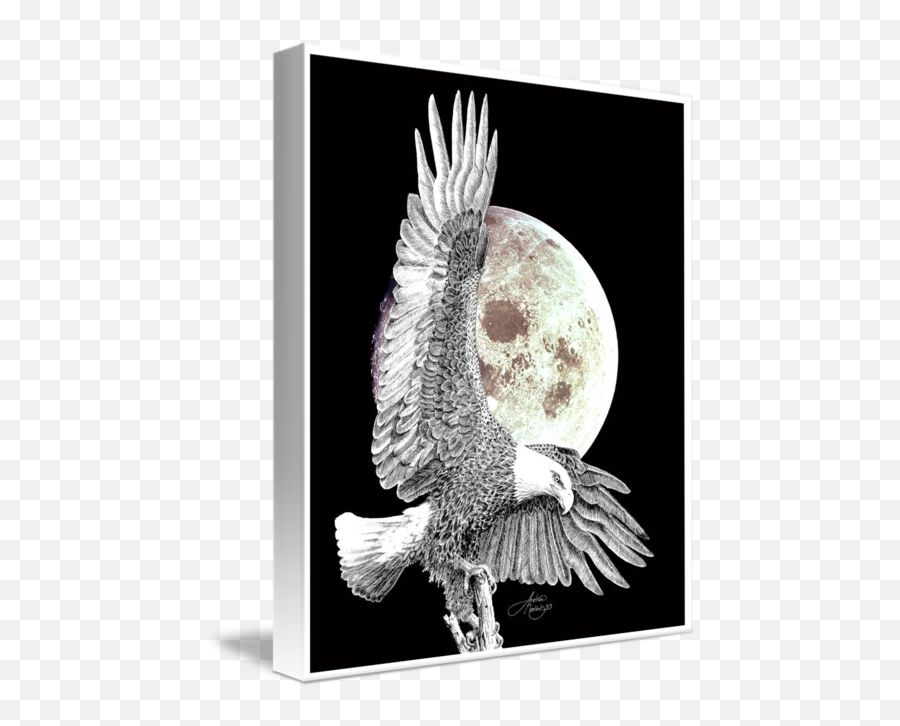 Eagle - Eagle Png,Full Moon Transparent Background