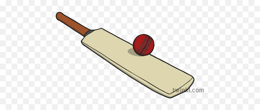 Cricket Bat And Ball Illustration - Twinkl Cricket Bat And Ball Illustration Png,Cricket Bat Png