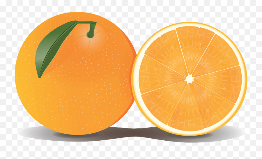 Orange Slice Png Download Image Arts - Clipart Transparent Background Orange,Orange Slice Png