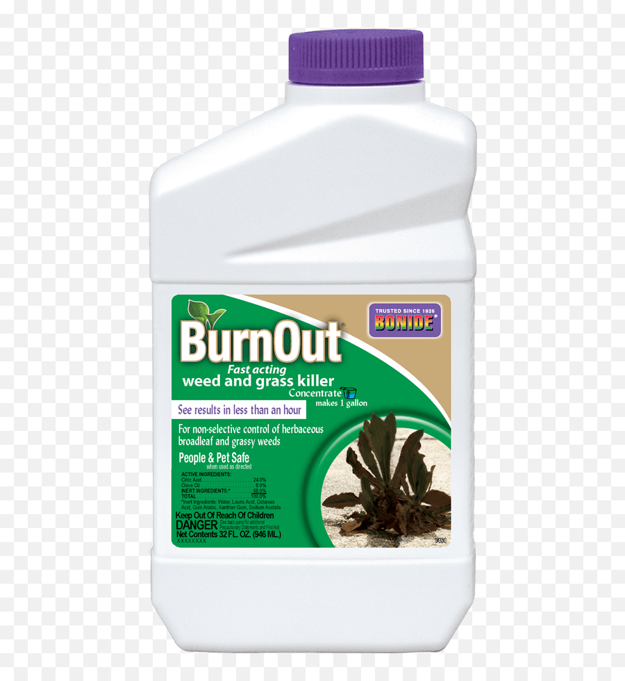 Burnout Conc - Leather Png,Weeds Png