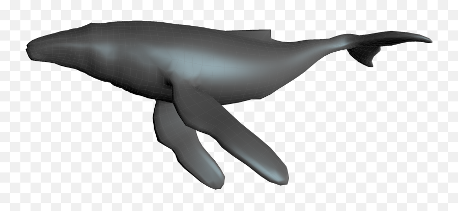 Humpback Whale - Inflatable Png,Humpback Whale Png